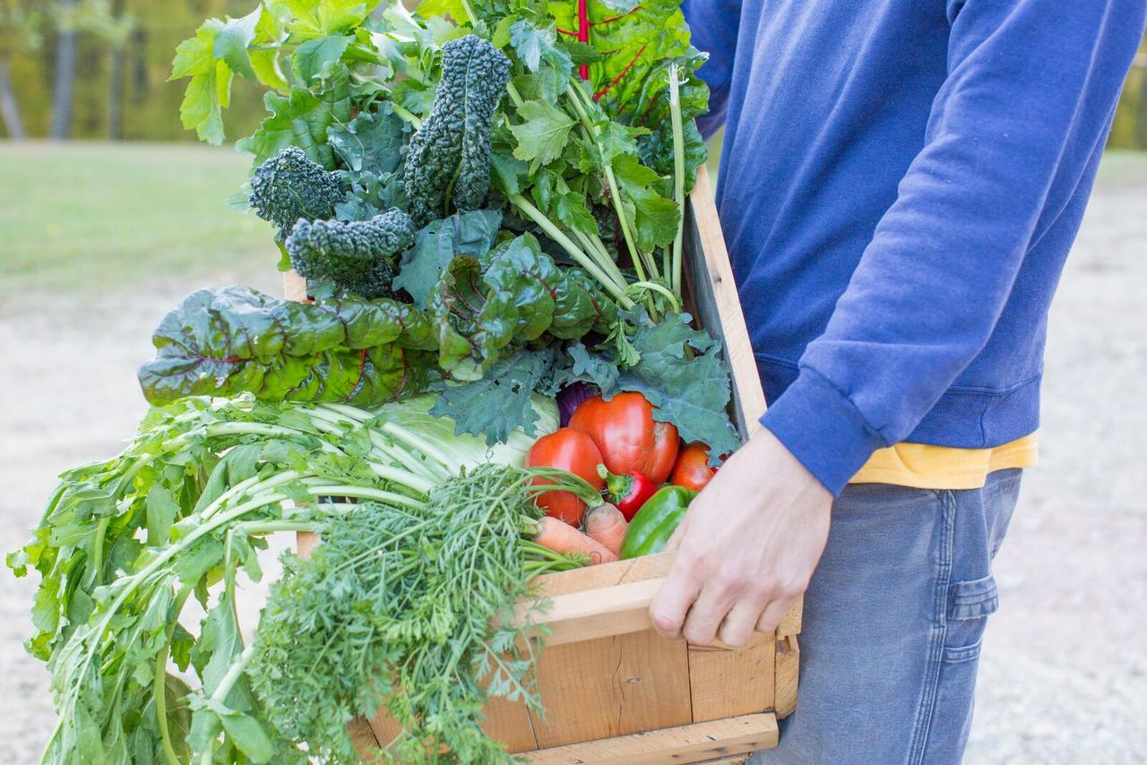Woodstock Sustainable Farms Quarto foto